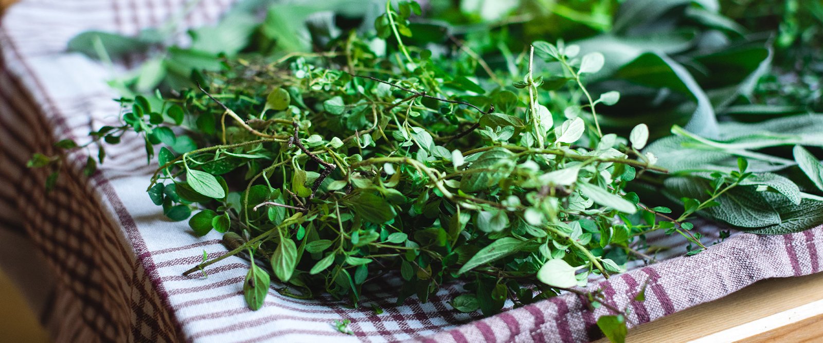 Fresh harvested herbs on rustic wooden table in natural light