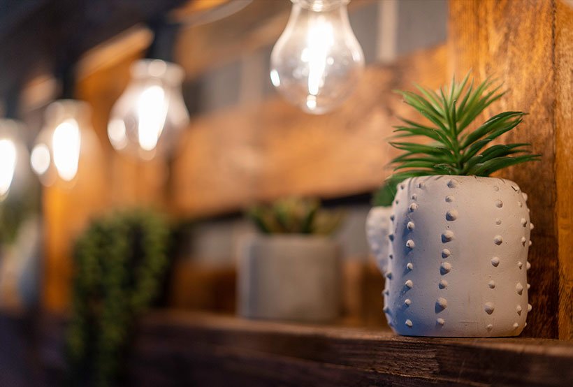 plant on wooden shelf with warm lights, cosy interior detail bucca mor cornwall